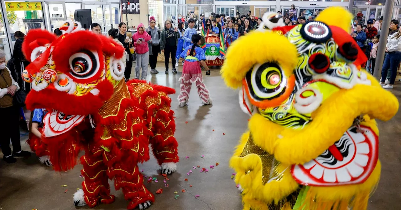 Lunar New Year celebrations across North Texas