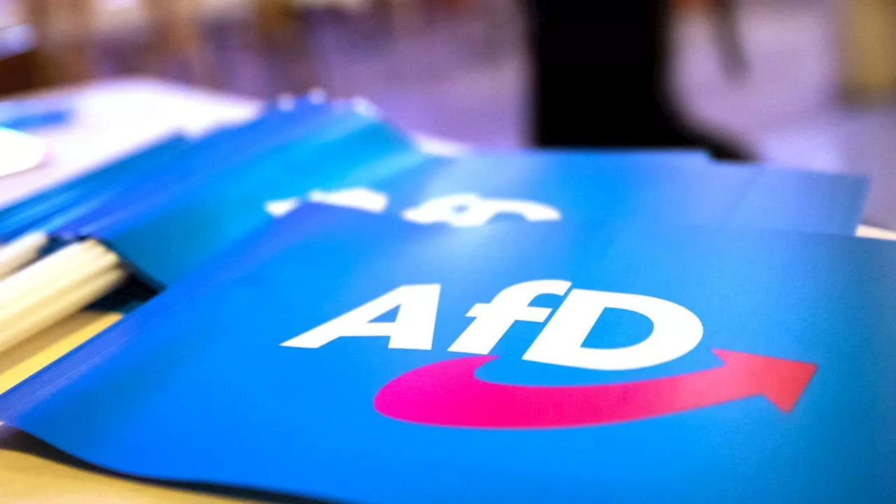 AfD erhält Rekordspende von 1,5 Millionen Euro