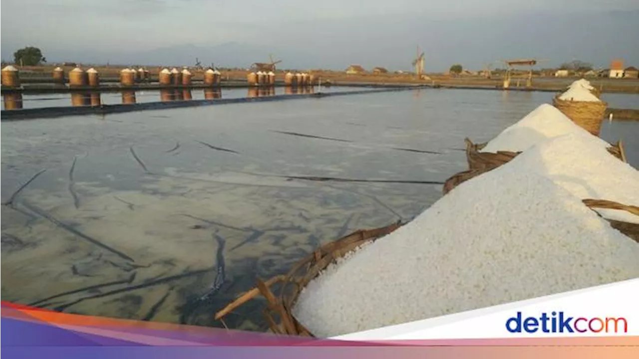 Pabrik Garam Berhenti Produksi Akibat Larangan Impor