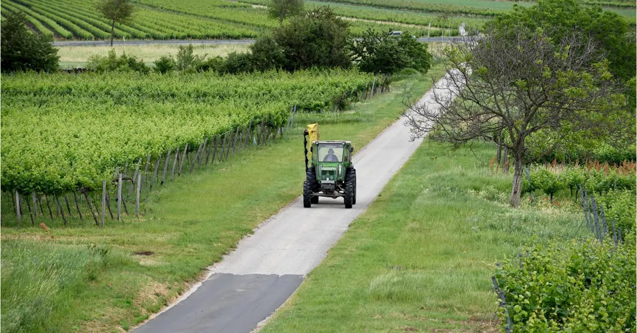 Neuer EU-Agrarkommissar: „Landwirte sollen sich nicht mit Papierkram herumschlagen“