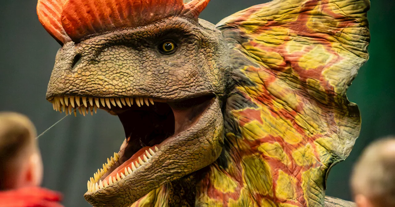 Jurassic Takeover Day Returns to Liverpool with More Dinosaurs and Thrills