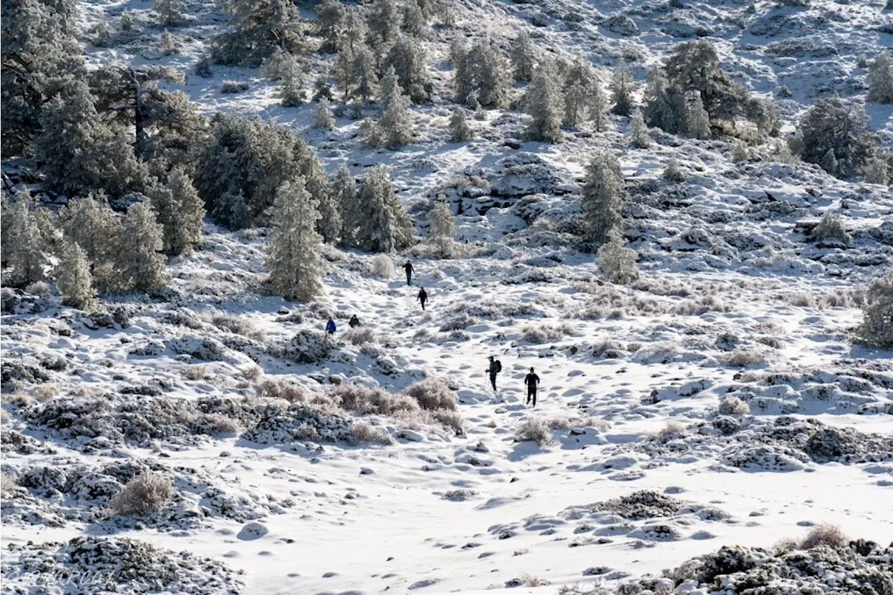 Campos de Hernán Pelea: el cambio climático llega a la ‘Siberia’ andaluza