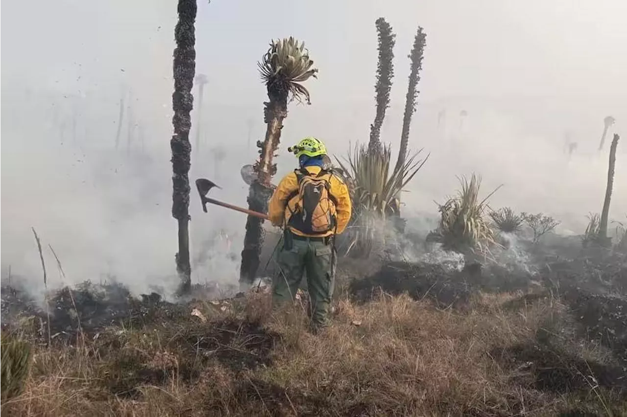 Incendio de gran magnitud consume páramo La Cortadera en Boyacá