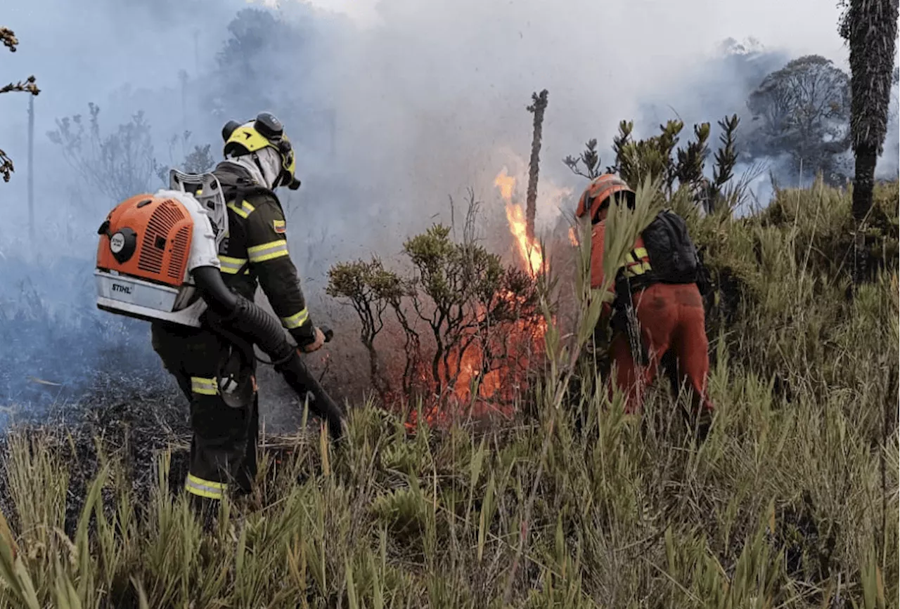 Boyacá: incendio destruyó 200 hectáreas del páramo La Cortadera