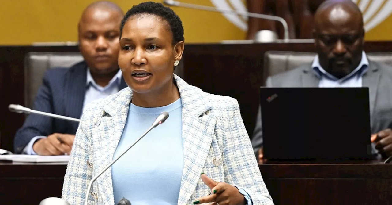 Parliament Closes Probe into Former Justice Minister's VBS Loan