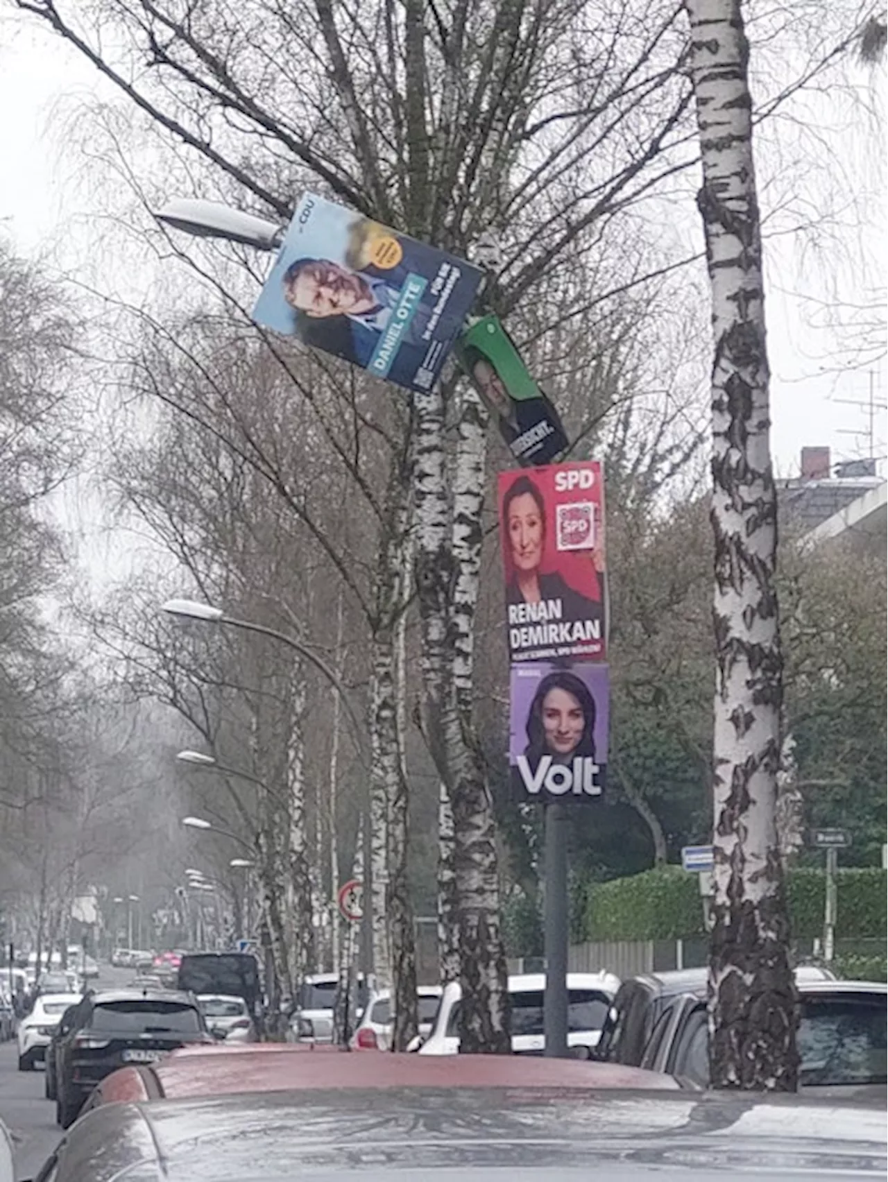 Wahlkampf in Köln: Plakateüberflutung sorgt für Rätsel und Kritik