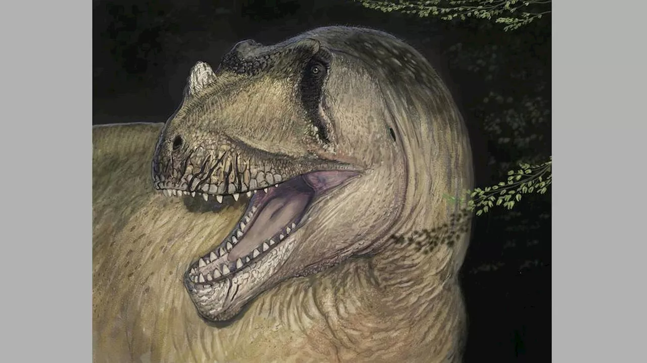 Scientists Identify New Dinosaur From Pre-WWII Photos Of Bombed Fossil