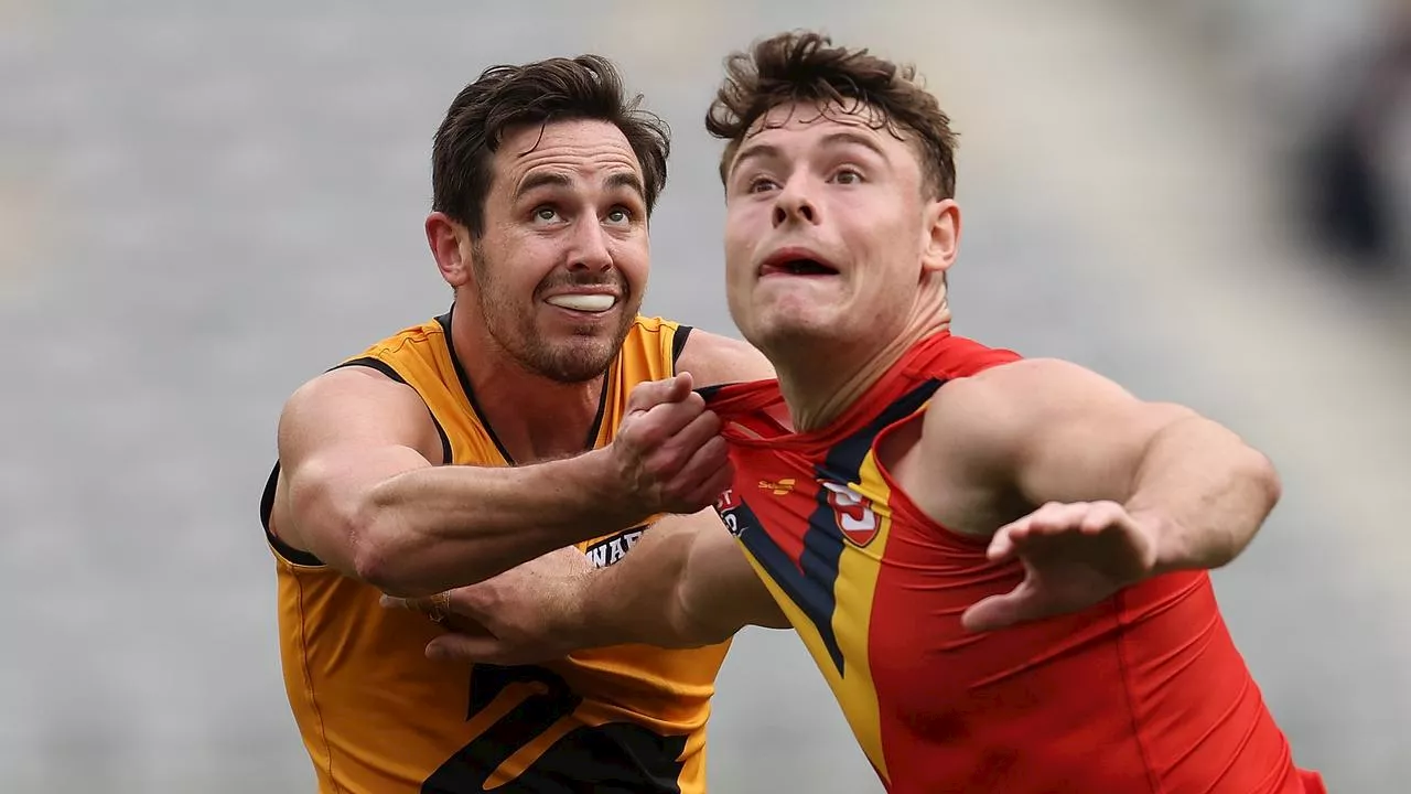 St Kilda Sign SANFL Star Harry Boyd for 2025