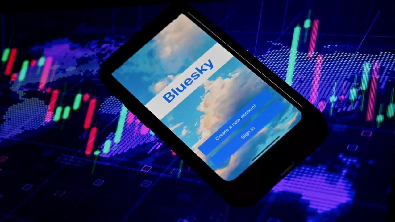 Bluesky : le nouveau réseau social, censé concurrencer X, franchit la barre du million d'utilisateurs