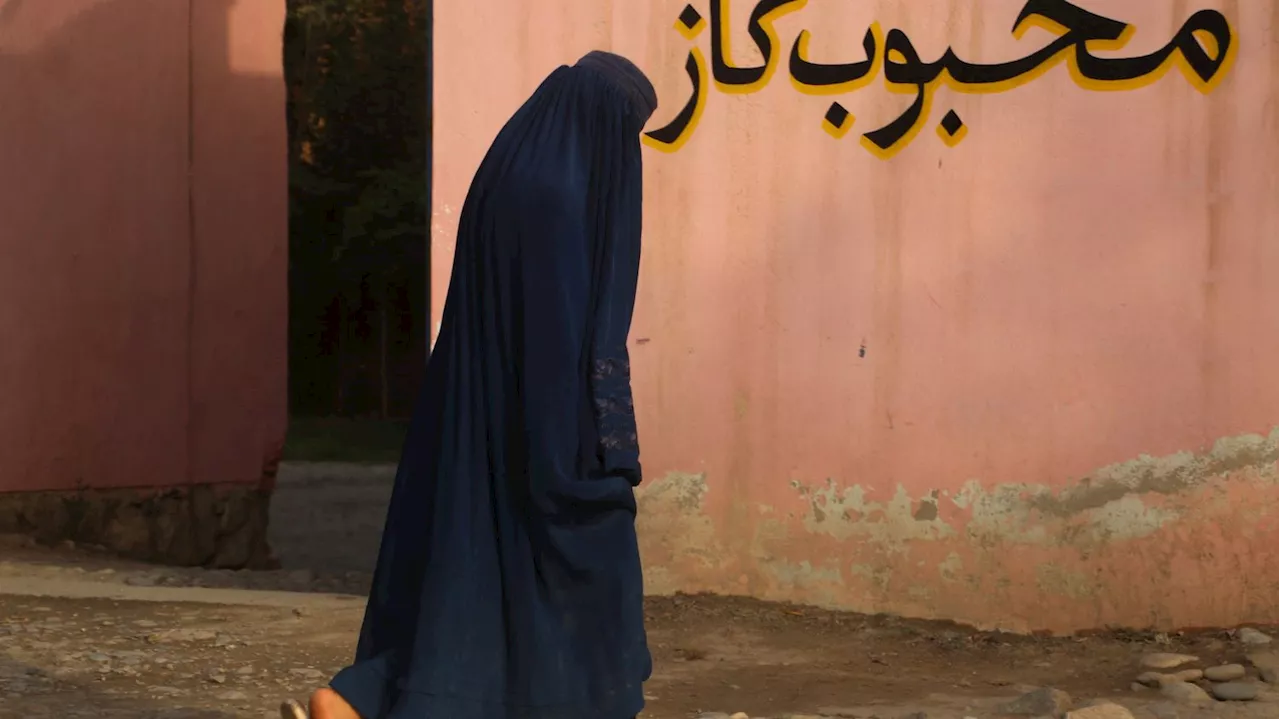 Talibans interdisent les fenêtres donnant sur les espaces résidentiels féminins en Afghanistan