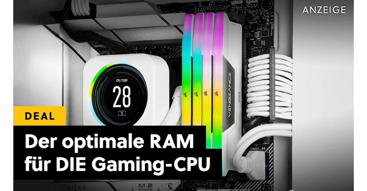 Den besten RAM für die beste CPU für die beste Grafikkarte gibt's jetzt zum besten Preis bei Amazon!