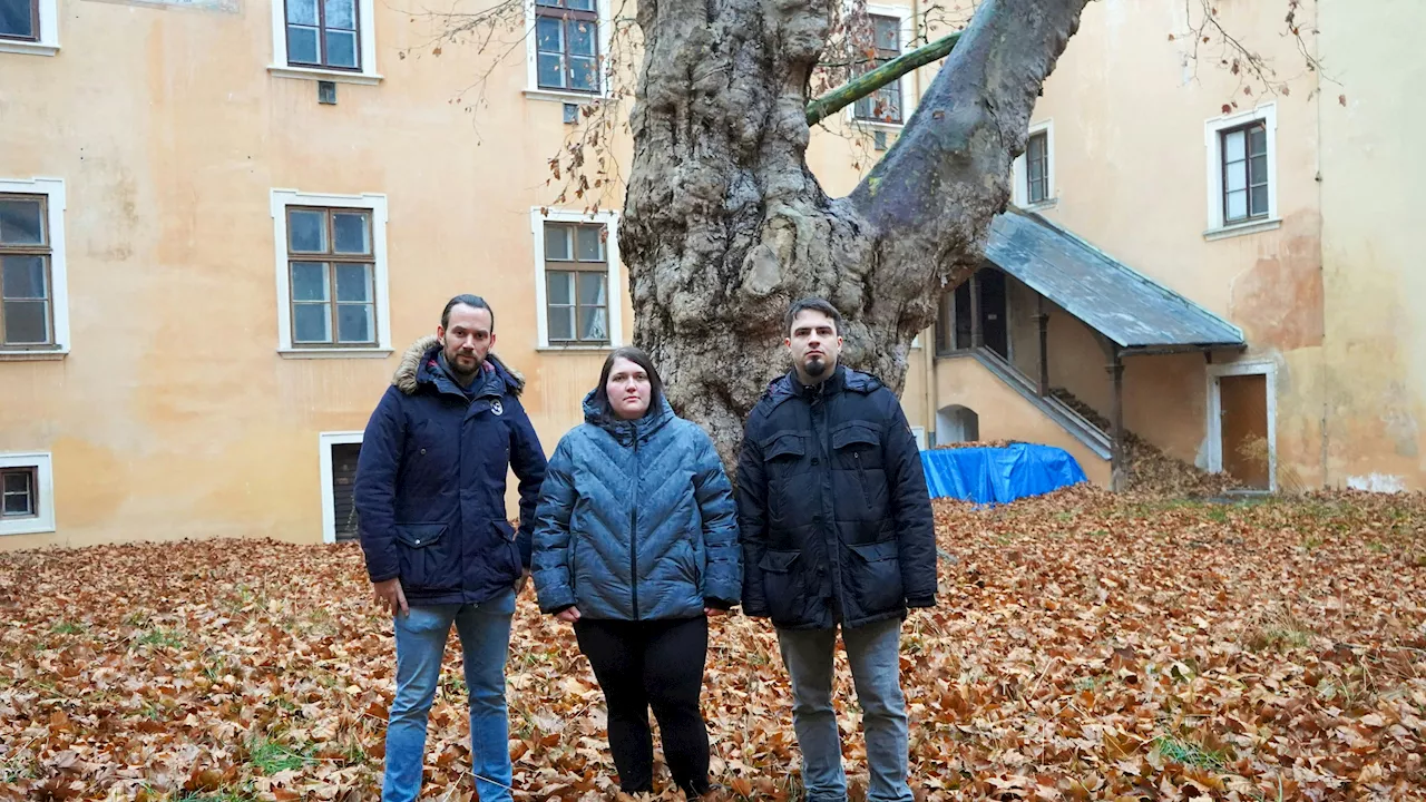 Historisches Wachau-Gebäude - '2,3 Mio. € sind zu wenig' – Wirbel um Schloss-Verkauf