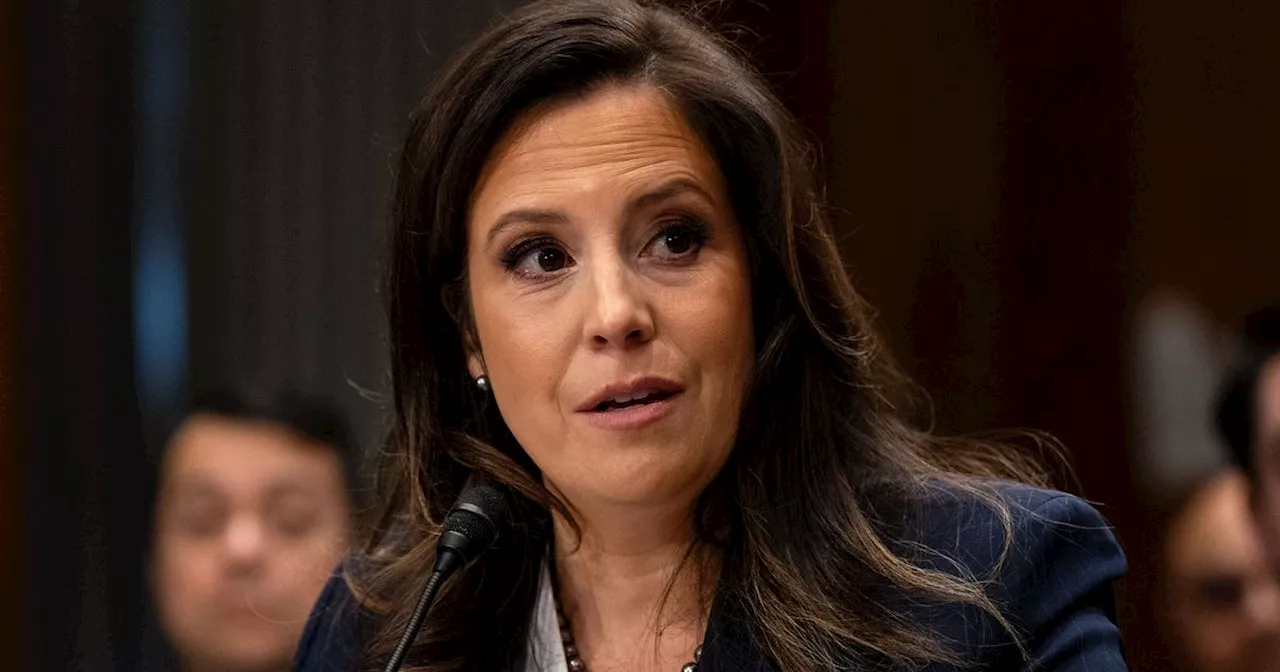 Elise Stefanik Defends Elon Musk Against Nazi Salute Accusations