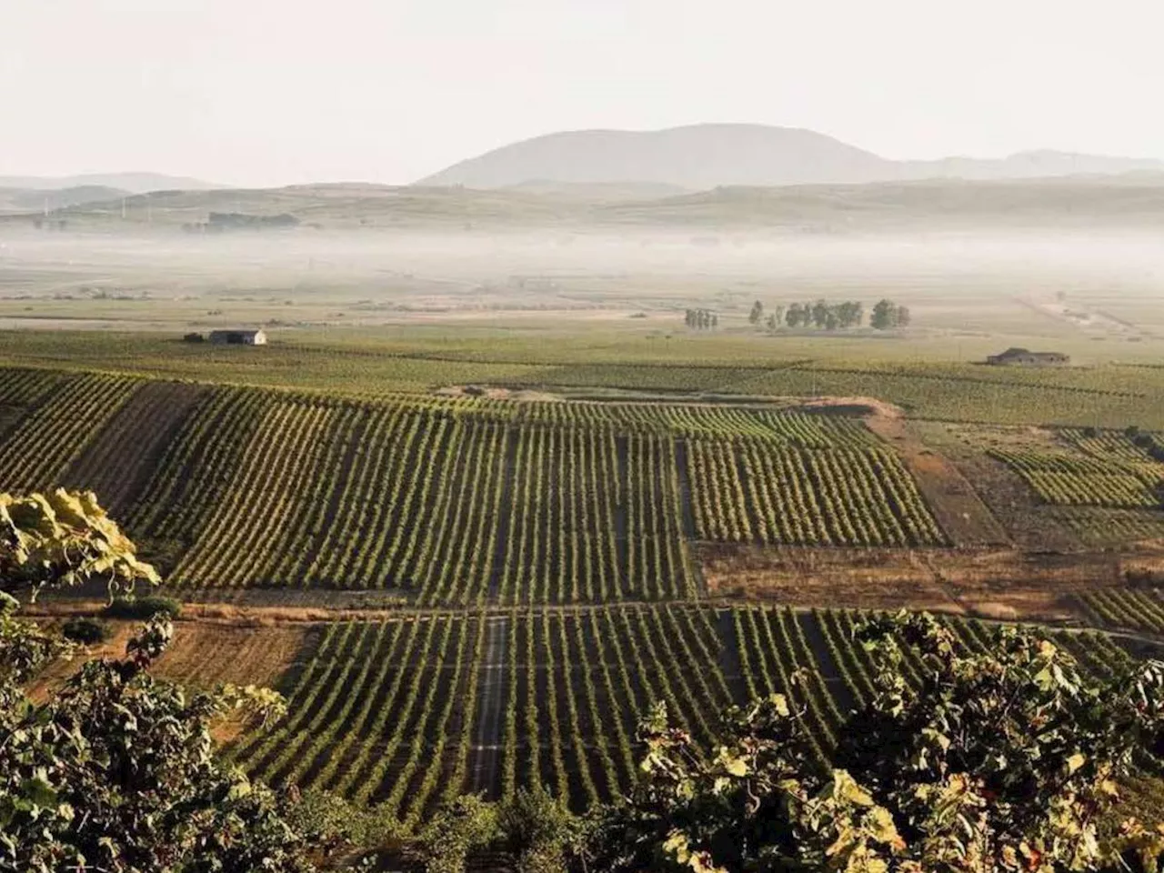 Intorcia, la modernità del Marsala