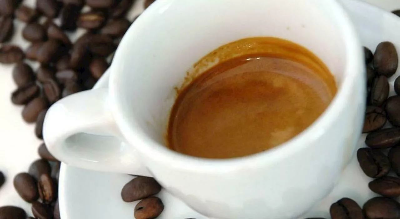 Il Caffè a Prezzi Record: Tra Speculazione, Siccità e Cambiamento Climatico