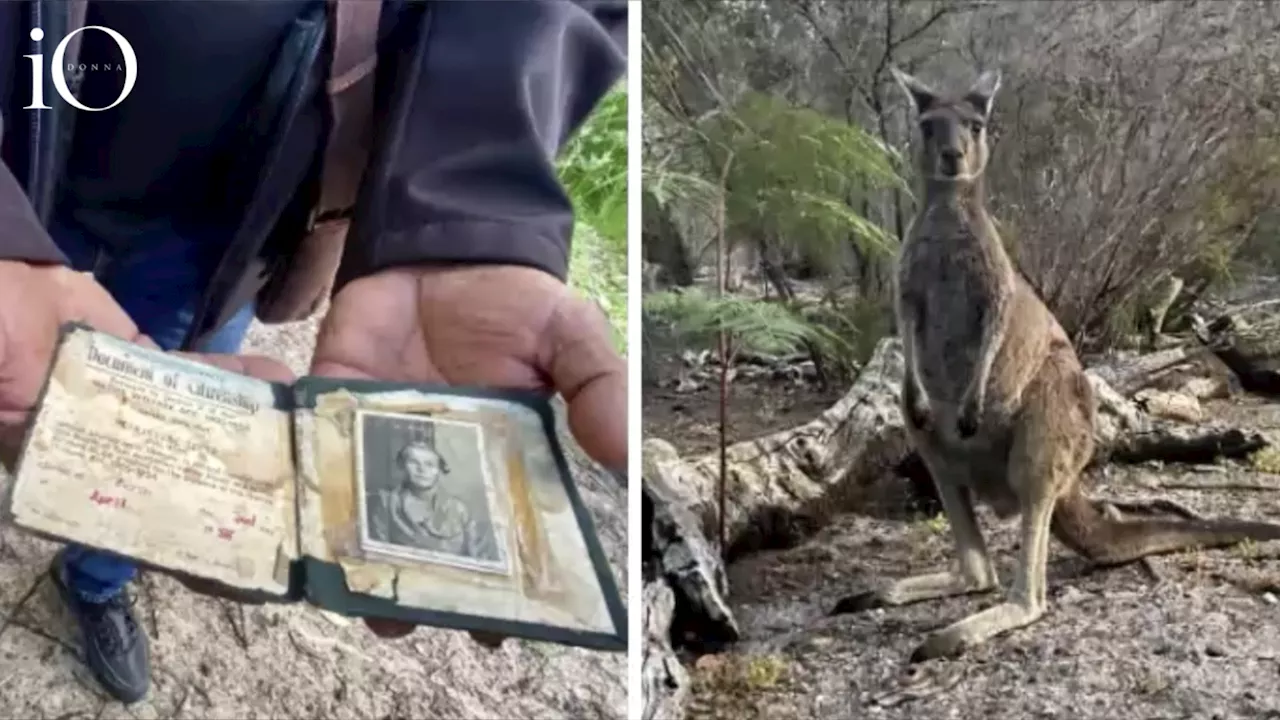 Viaggi della vita: alla scoperta del Western Australia, tra passato e futuro