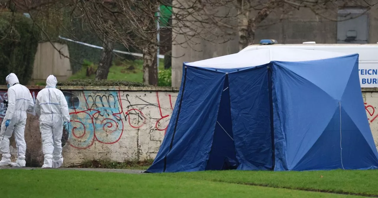 Drugs Row Suspected in Fatal Stabbing of Willie Moorehouse in Bray