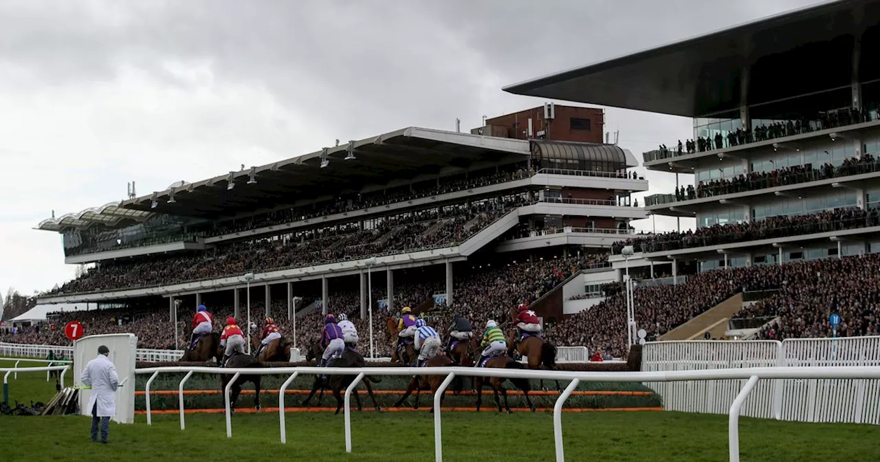 Now Is The Hour Shortens For Cheltenham After Dramatic Price Move