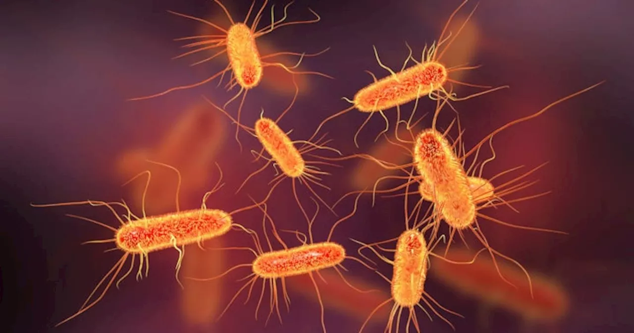 600,000 rural dwellers are at risk of E.coli due to untreated water supplies