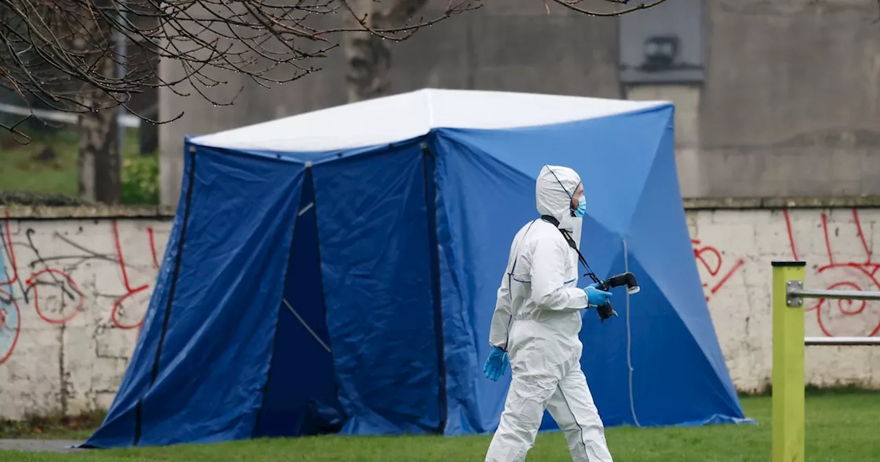 Two Arrested After Fatal Stabbing in Bray, Ireland