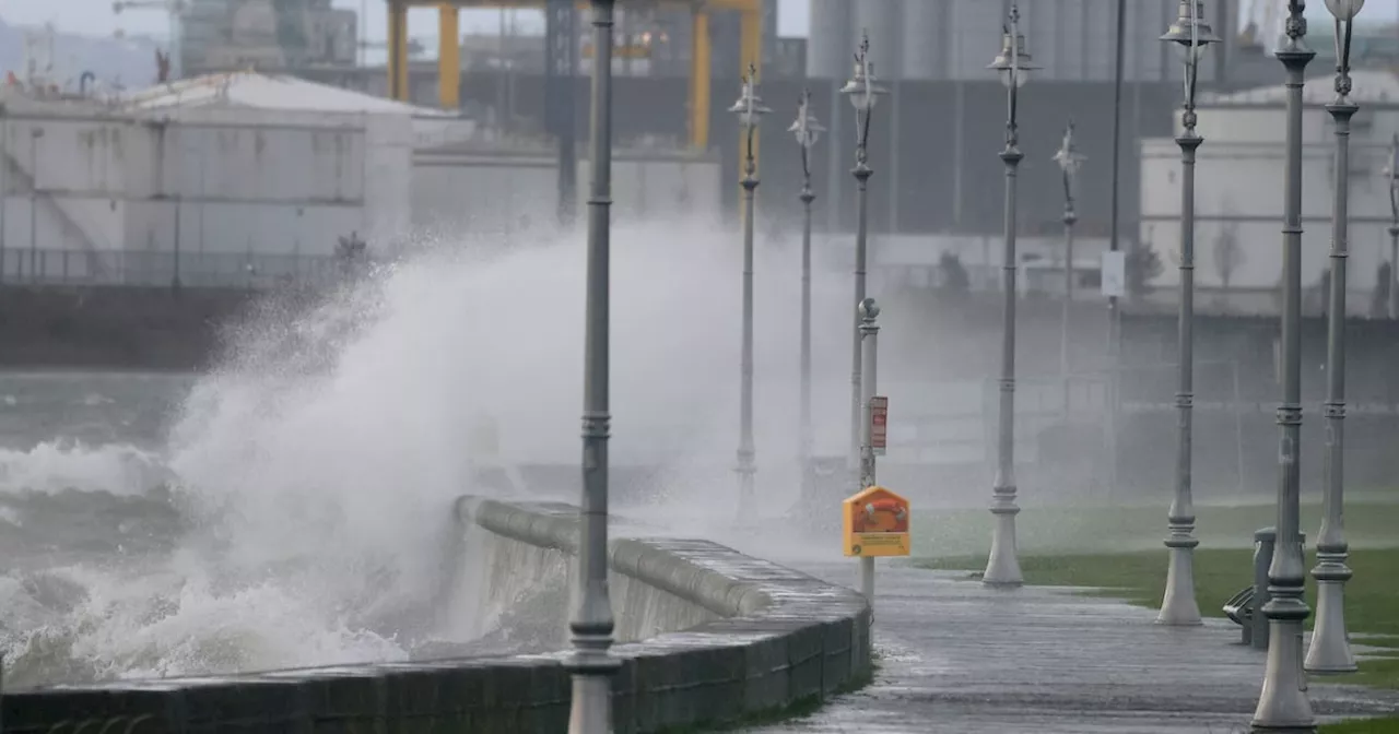 Storm Éowyn: Met Éireann warns gale force winds, heavy rain and sleet and snow possible