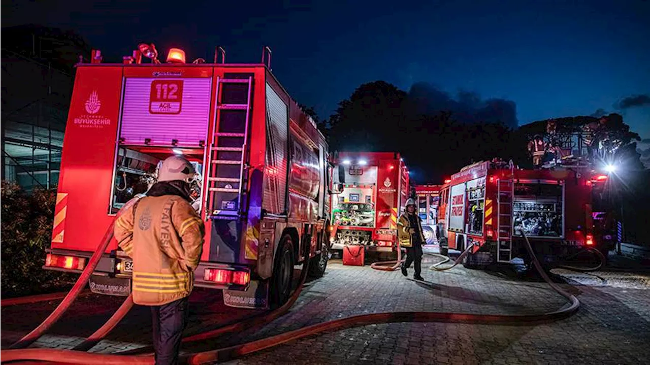 Три человека погибли и более 20 пострадали при пожаре на курорте в Турции