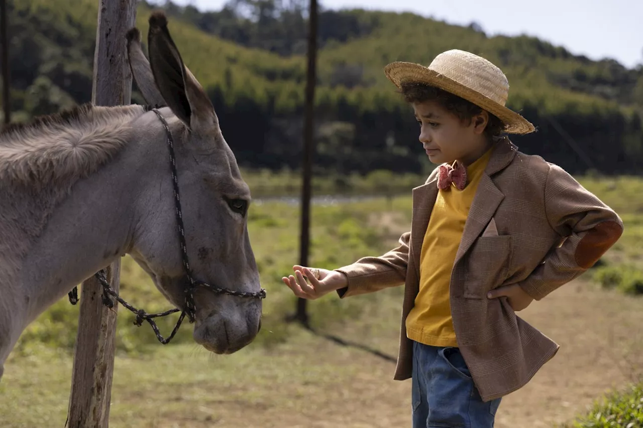 Cinema Nacional Impulsiona-se em 2025 com Sucessos