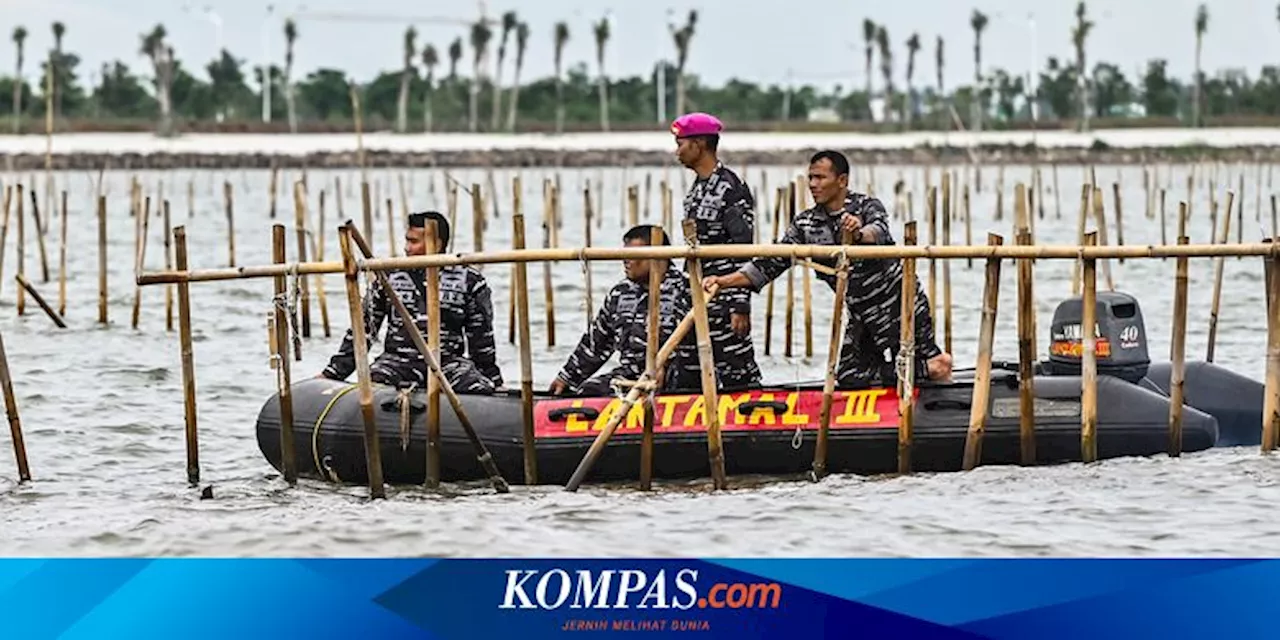 TNI Bongkar Pagar Laut Tanpa Izin di Tanjung Pasir, Banten