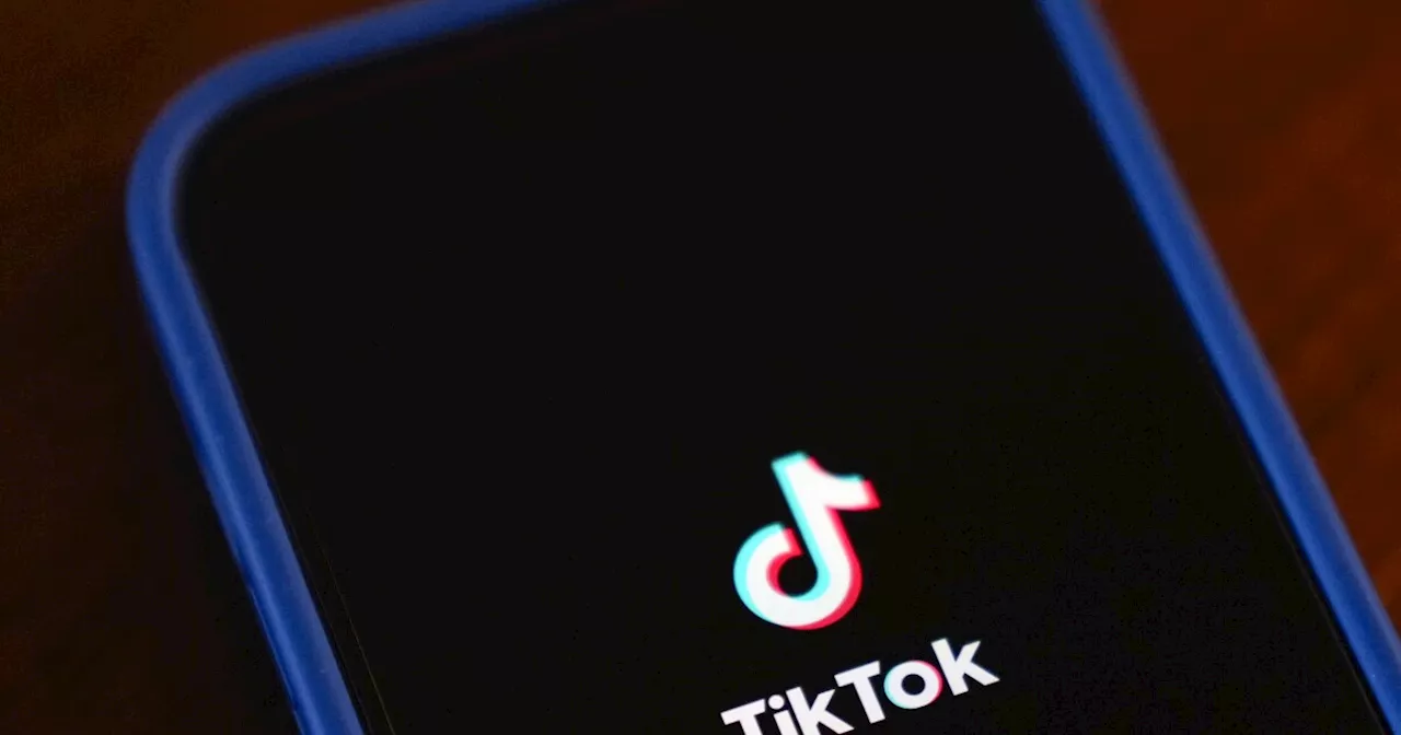 Trump Halts TikTok Ban, Offers Legal Protection for Business Partners