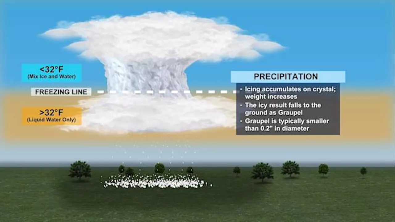 Houston Braces for Rare Winter Storm, Navigating Icy Precipitation: Sleet vs. Graupel