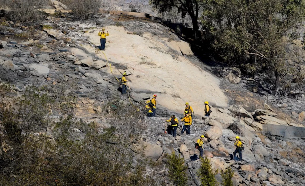 Lilac Fire Forces Evacuations in Bonsall as Santa Ana Winds Fuel Wildfire