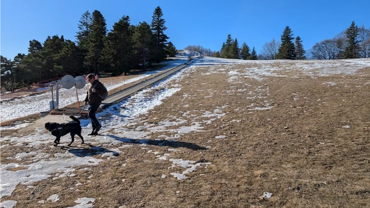 La neige, un trésor rare sur la montagne de Lure