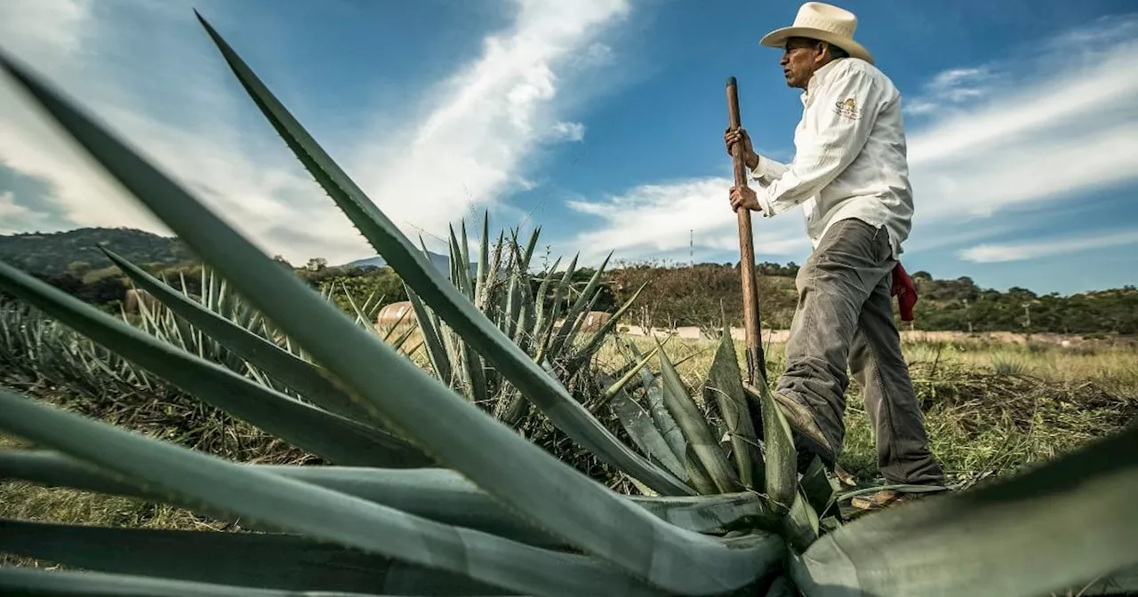 Jalisco se posiciona como destino turístico líder en FITUR 2025