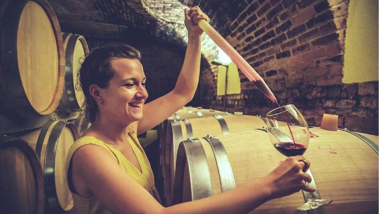 Boeri Vini: 120 anni di storia e tradizione nella Barbera d'Asti