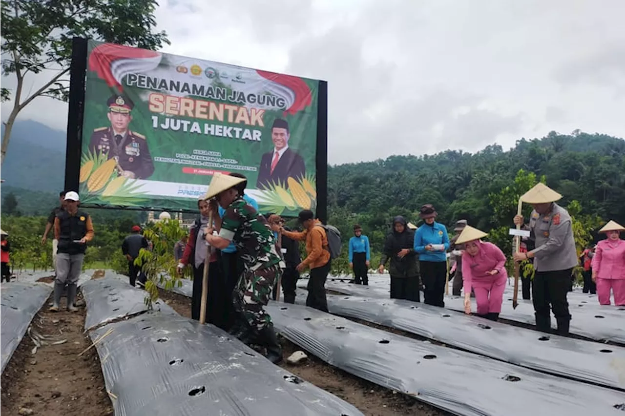 Polres Tasikmalaya Tanam Jagung di Bekas Galian C Kawasan Kaki Gunung Galunggung