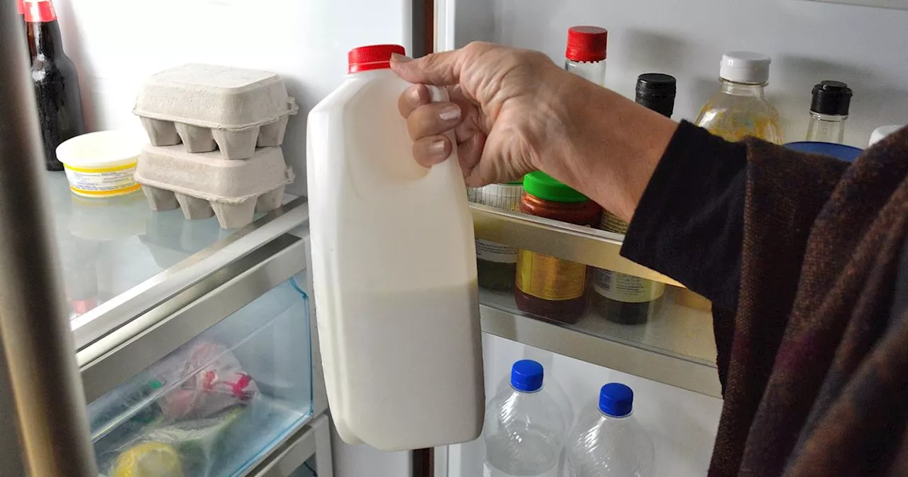 Storing Milk in the Fridge Door Could Be Shortening Its Life