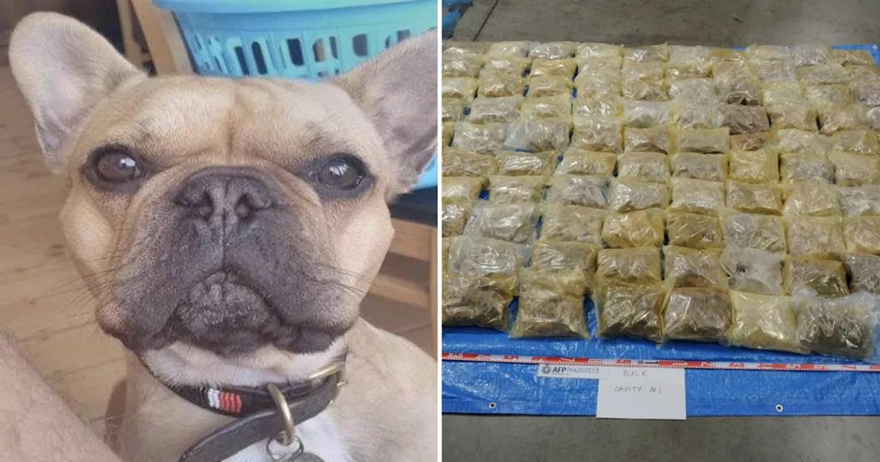 Drug Barons Ordered to Hand Over £1 Million After Attempting to Smuggle £44 Million Worth of Ecstasy to Australia