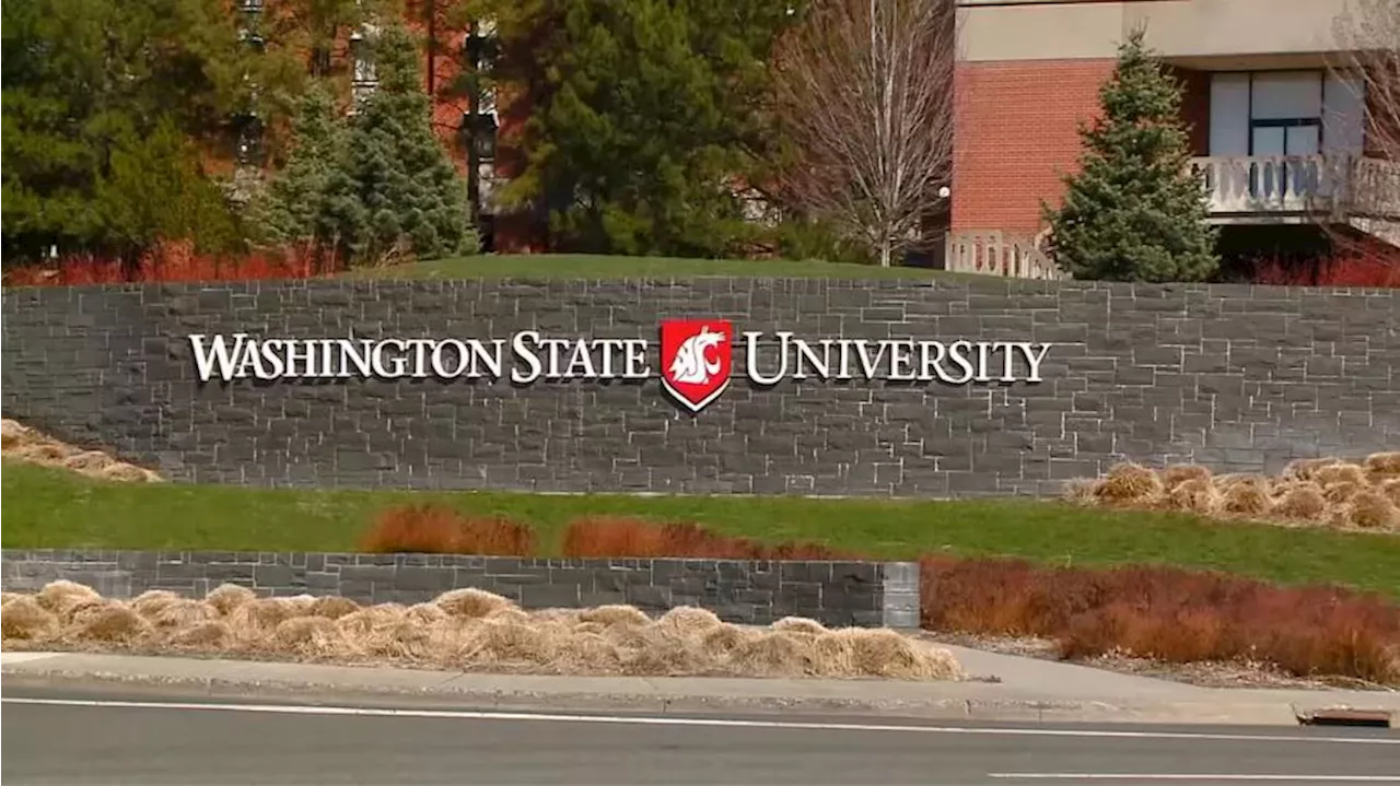 WSU female student arrested after stabbing another student