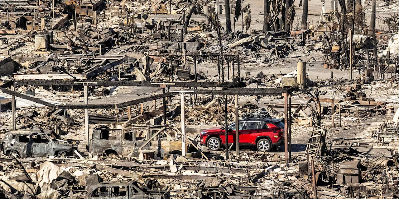 Starkwinde stoßen Los Angeles vor neue Feuergefahr