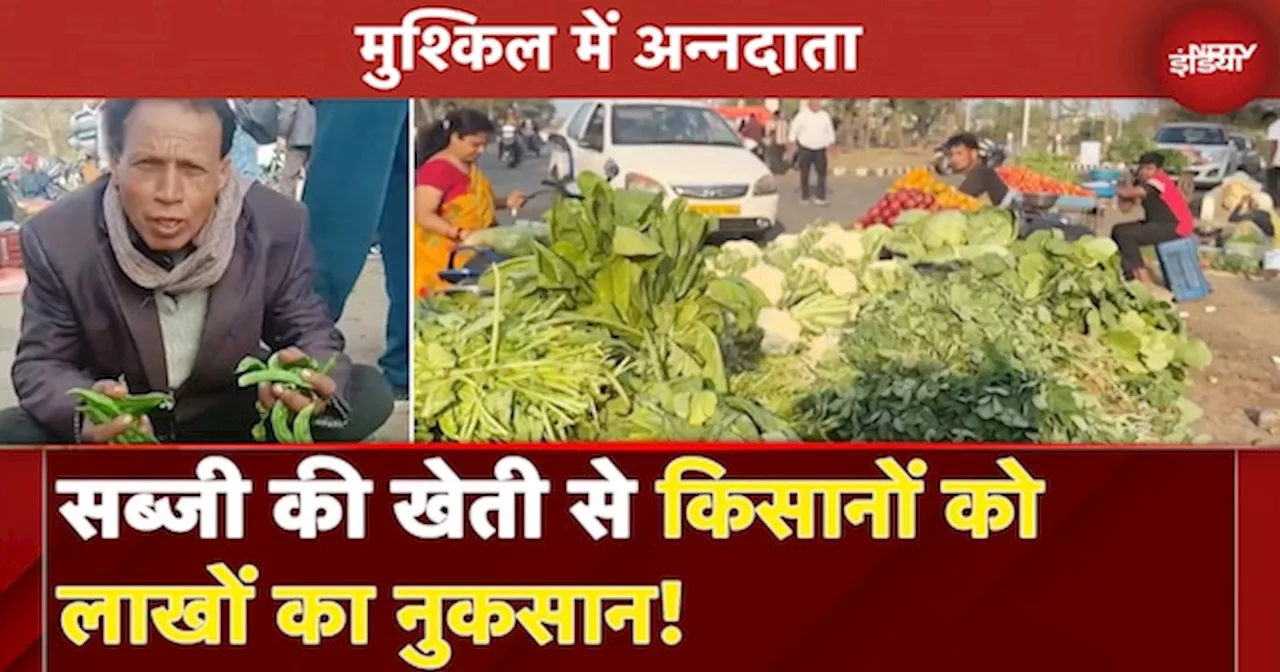 Vegetable Farming: चेहरों पर पसरी मायूसी, मेहनत-लागत निकालना भी अब मुश्किल