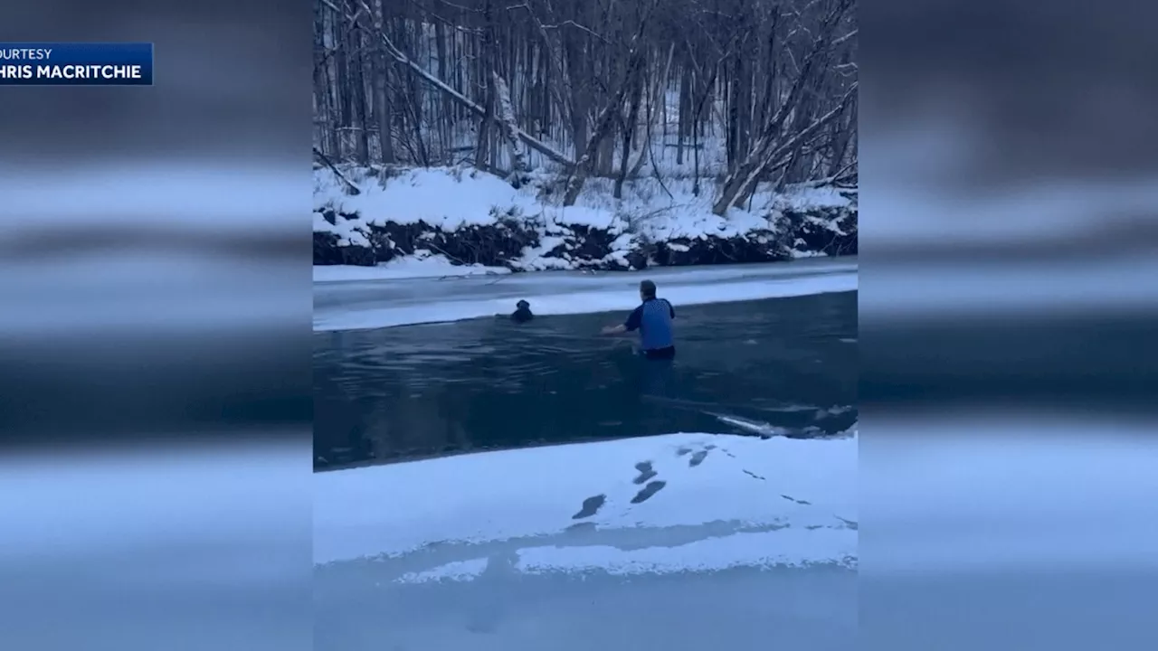 Brave Man Rescues Dog from Icy River