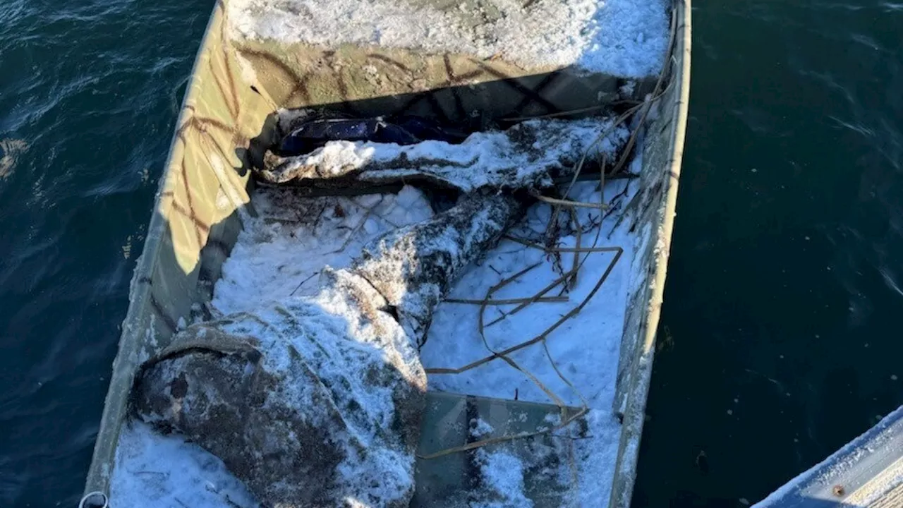 Duck Hunter Rescued After Plunging into Frigid Waters Off Marion, Massachusetts