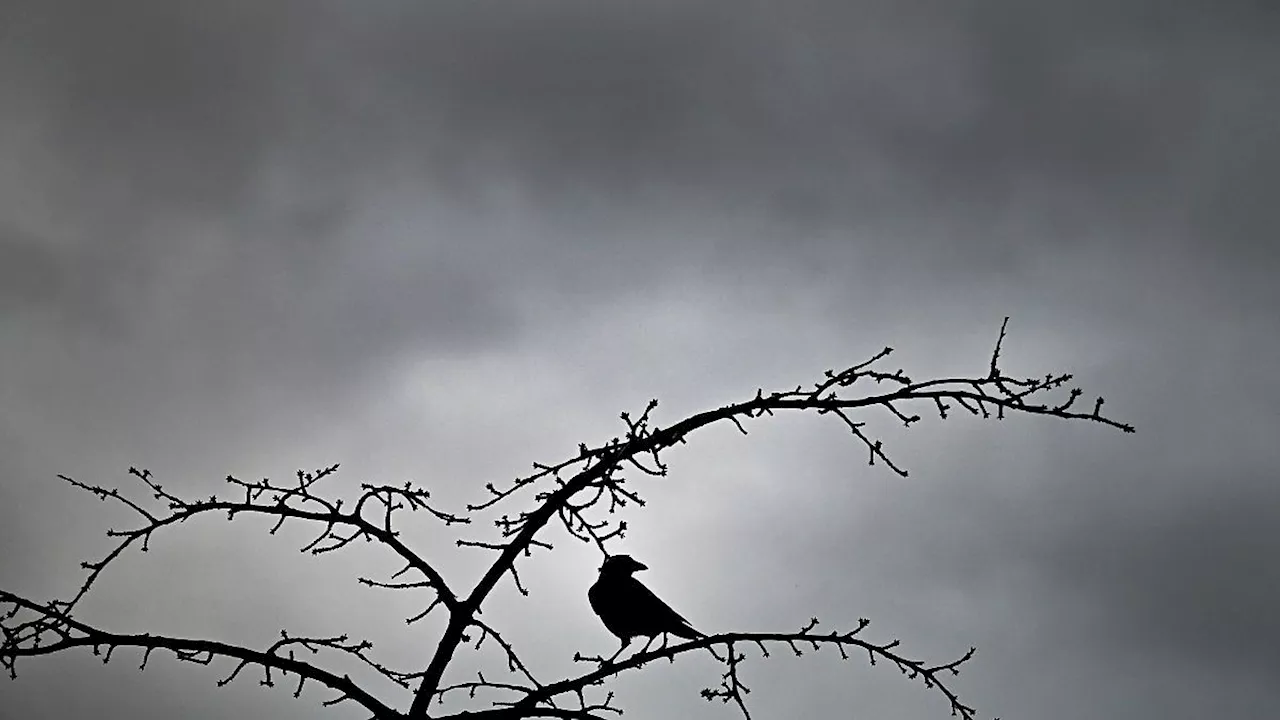 Nordrhein-Westfalen: Graues Wetter in NRW erwartet - bis zu 11 Grad am Freitag