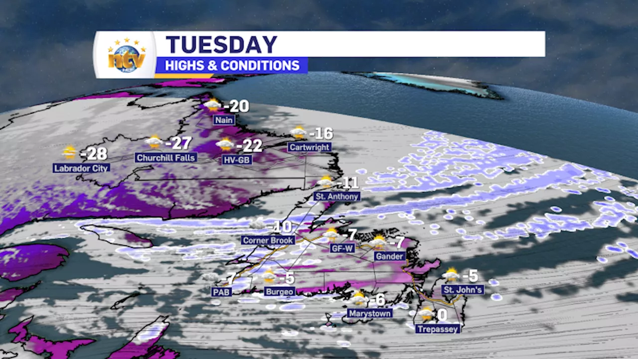 Arctic Blast Brings Extreme Cold and Widespread Snow Squalls to Newfoundland