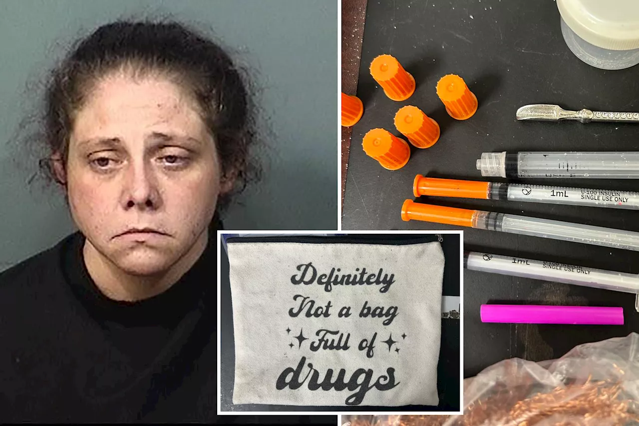 Florida Woman Arrested Again After Meth Found in 'Definitely Not a Bag Full of Drugs,' Tote