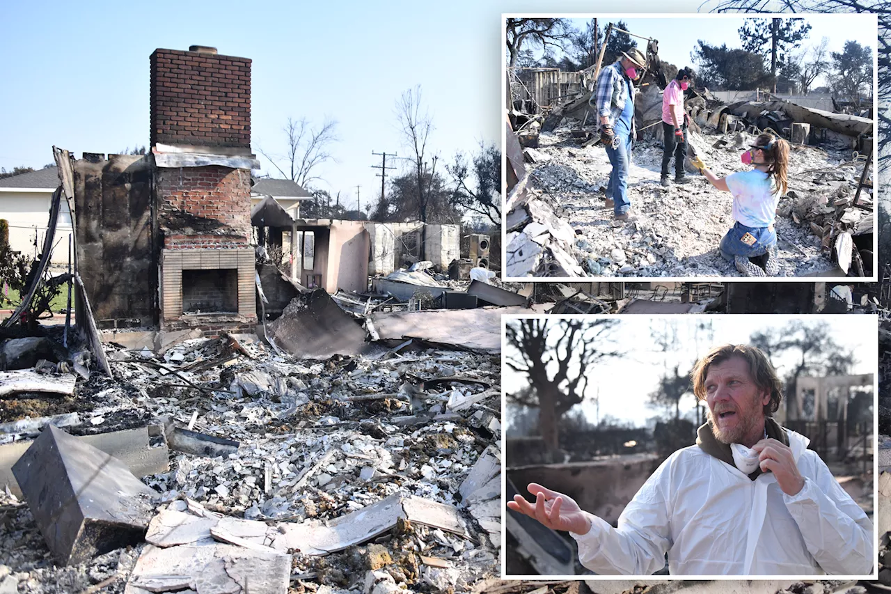 LA fire victims return home to nothing — as one family hunts for beloved bulldog that perished in fire: 'We lost everything. There's only ash'