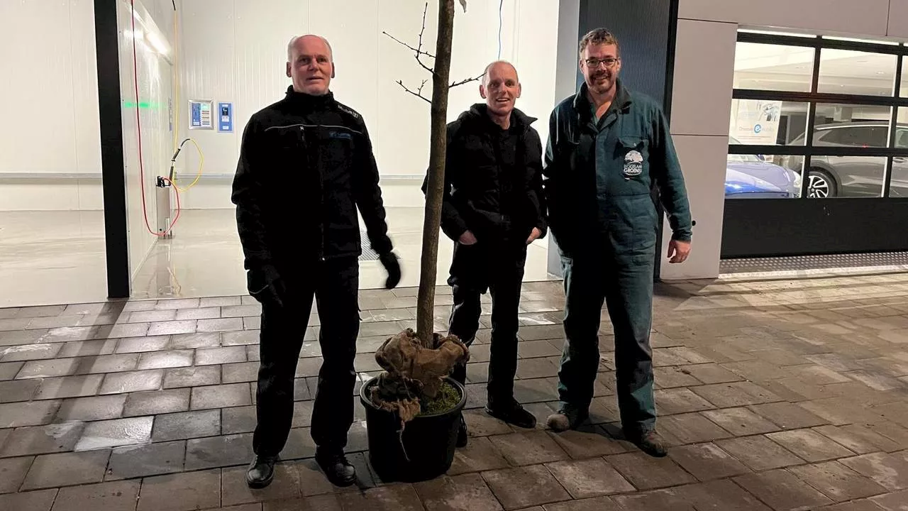 Boompje dat carwash blokkeerde omver gereden: Henri doneert nieuwe boom