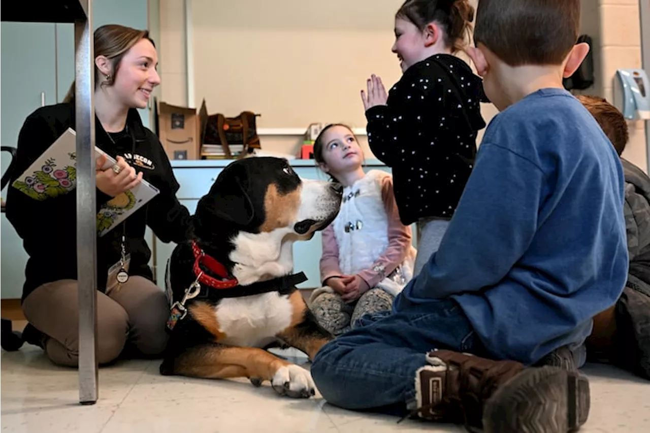 Therapy Dogs Improve Reading Scores and Behavior in New Jersey School