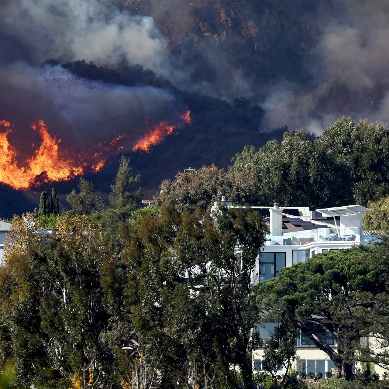 Incendies à Los Angeles : comment la ville californienne tente de se relever