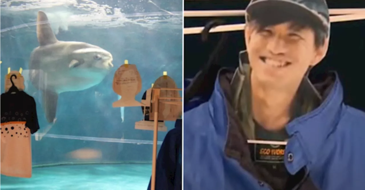 'Maybe It Became Lonely' — Aquarium Staff In Japan Comforts Sunfish With Smiley Cutouts